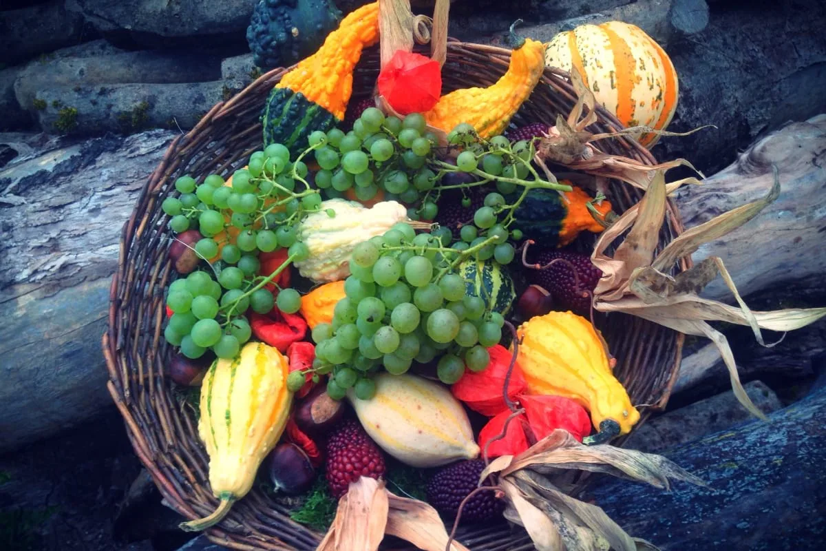 Organic Food - Farm Fresh Produce Right To Your Door - NG体育